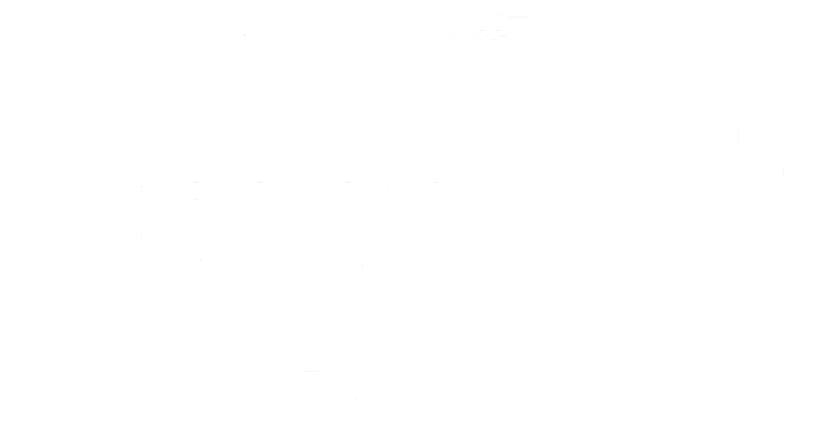 OceanWise logo - white